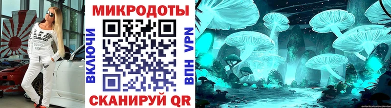 наркота  Камень-на-Оби  Псилоцибиновые грибы Psilocybe 