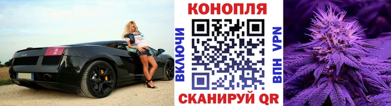 mega как войти  где купить наркоту  Камень-на-Оби  Марихуана индика 
